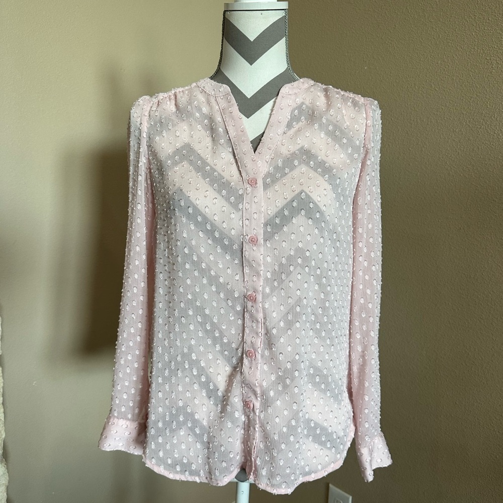 Banana Republic pink sheer button up blouse